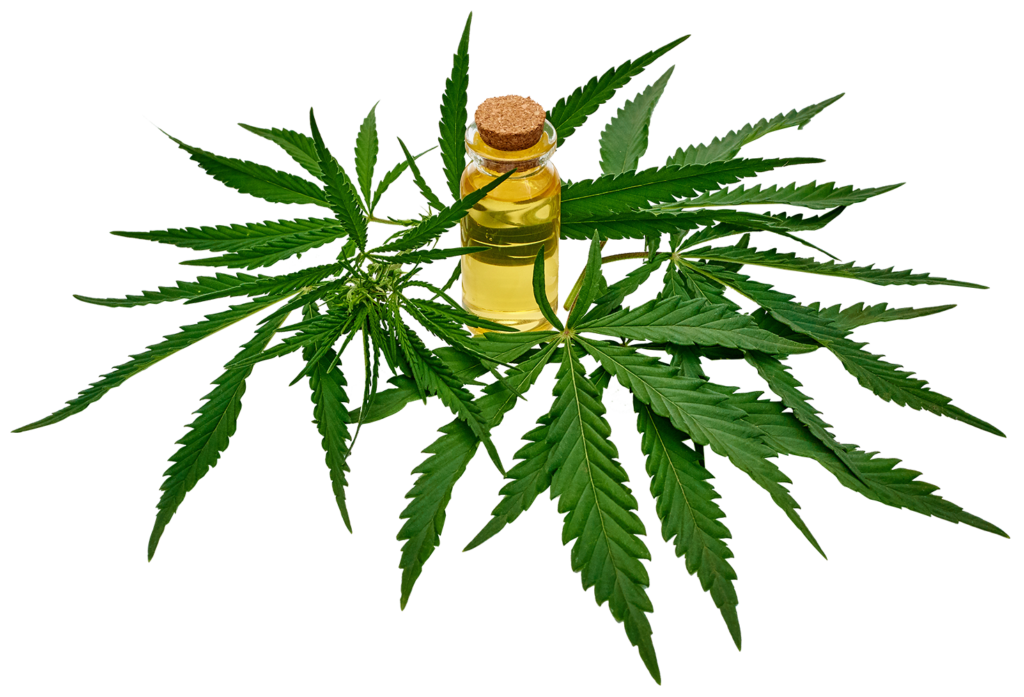 Revolución del Cannabis en Colombia